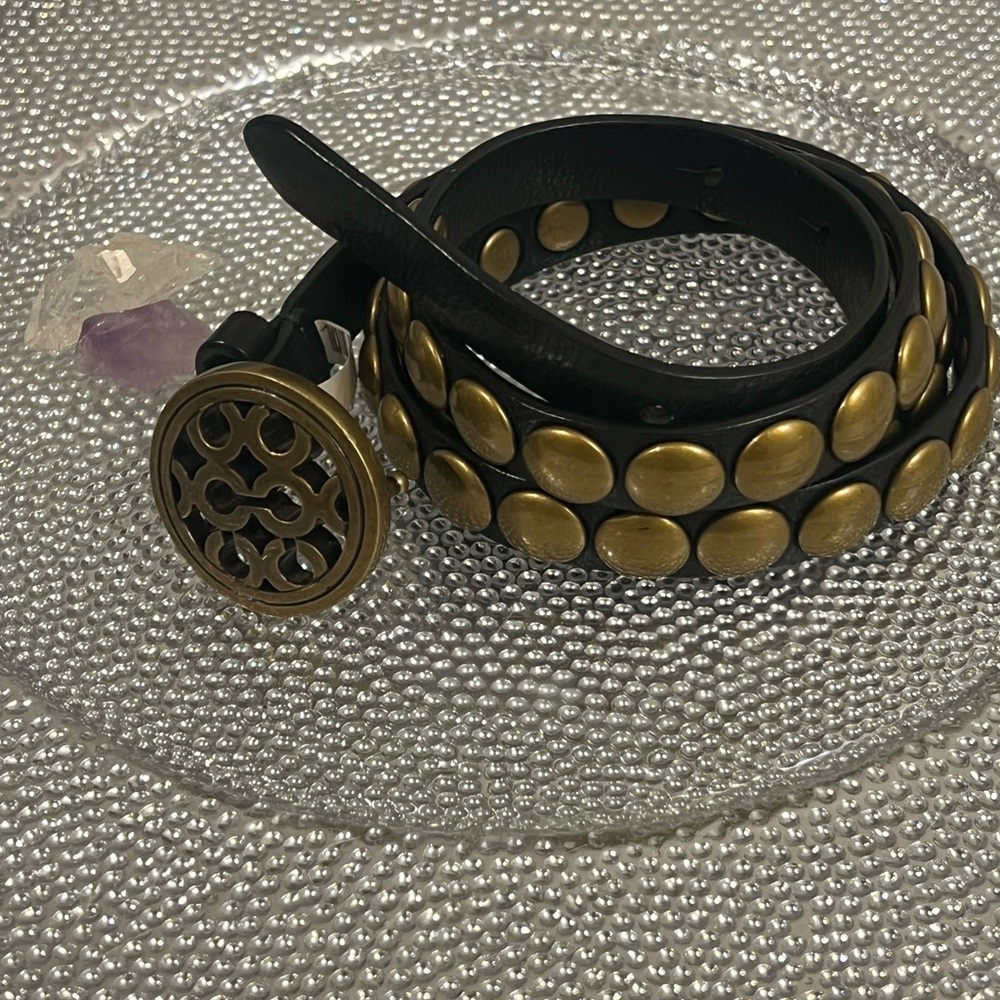 COACH Black and Gold Studded Belt